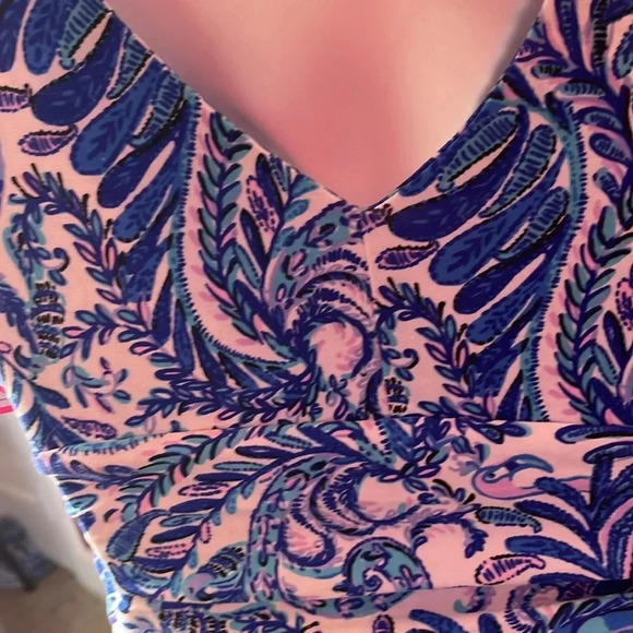 Lilly Pulitzer maxi - Picture 4 of 8
